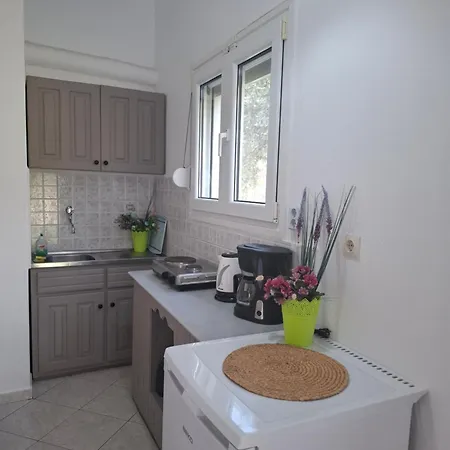 House Elena アパート コイニラ