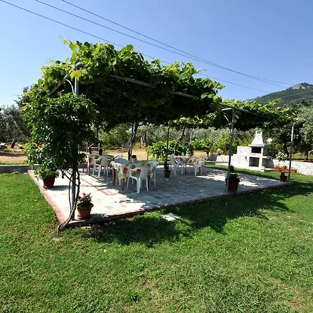 House Elena * Коинира
